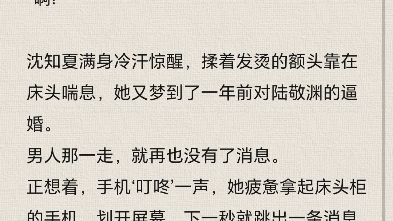 夏知晚官逸景最新章節(jié),夏知晚官逸景最新章節(jié)，探尋故事的魅力轉(zhuǎn)折