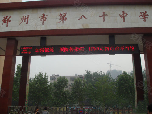 中原區(qū)九龍城最新動態(tài)深度解析，最新進(jìn)展與觀點(diǎn)闡述