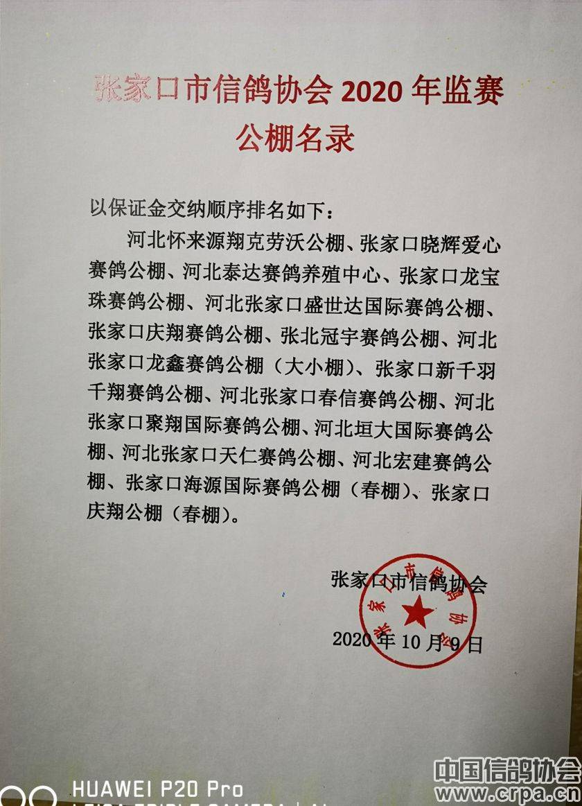 東光信鴿協(xié)會(huì)最新通告，小巷深處的獨(dú)特風(fēng)味揭秘與信鴿活動(dòng)更新通知