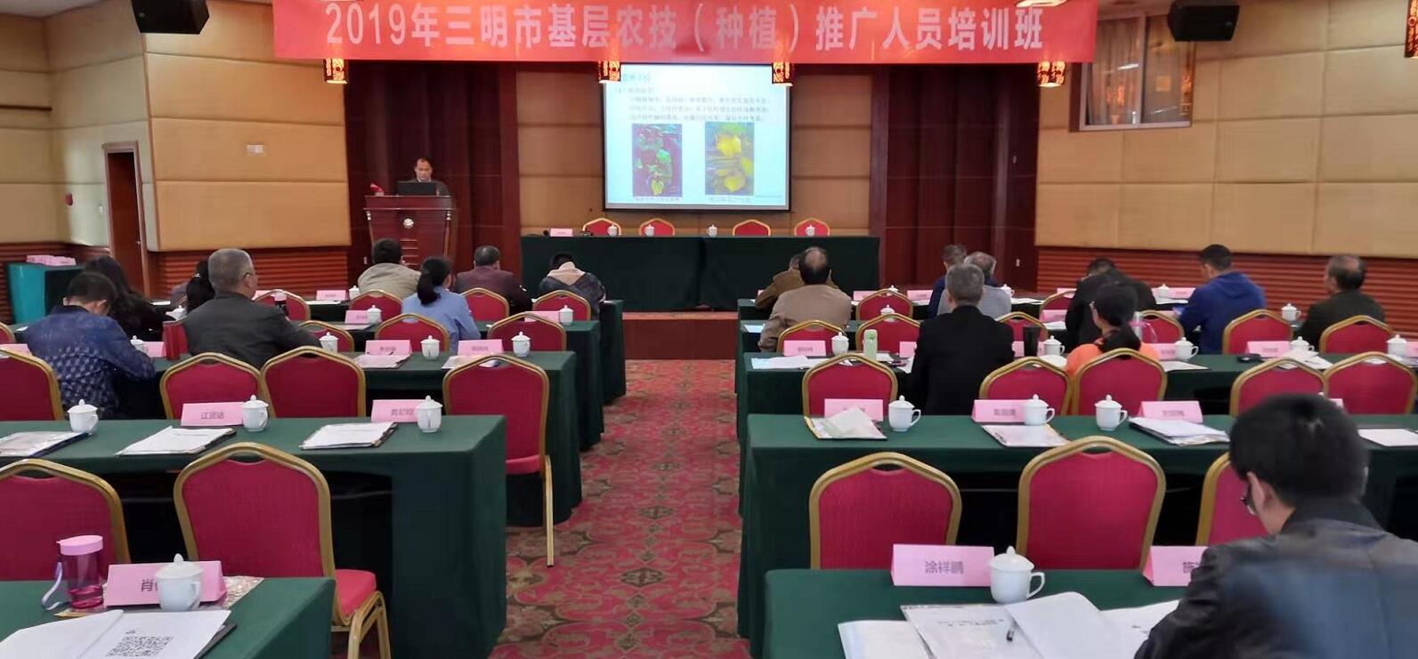 豇豆最新，廚房中的友情與家的溫馨
