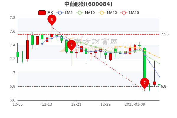 中葡股份股票行情深度分析與展望，未來走勢展望及行業(yè)前景預(yù)測。