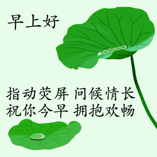 最新疫情動態(tài)下的自然探索之旅，追尋內心的平和與寧靜