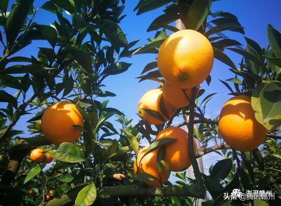 運(yùn)動(dòng)場(chǎng)館燈具 第152頁