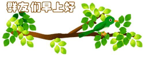最新清晨祝福短信，晨曦中的溫暖問候，傳遞美好祝愿與關(guān)懷