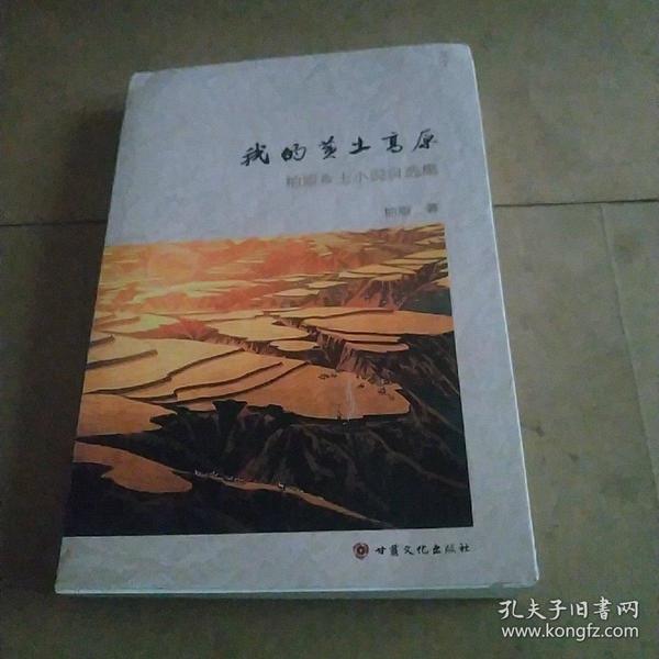 時代背景下的鄉(xiāng)土情懷與文學地位，最新鄉(xiāng)土小說探析