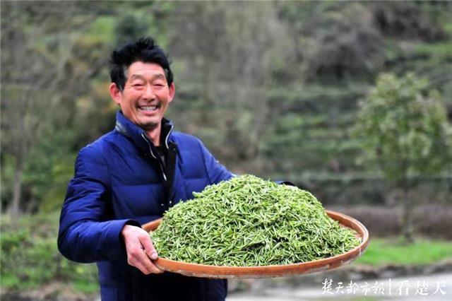 最新夷陵新聞，探索自然美景的旅程，尋覓內(nèi)心平和之地