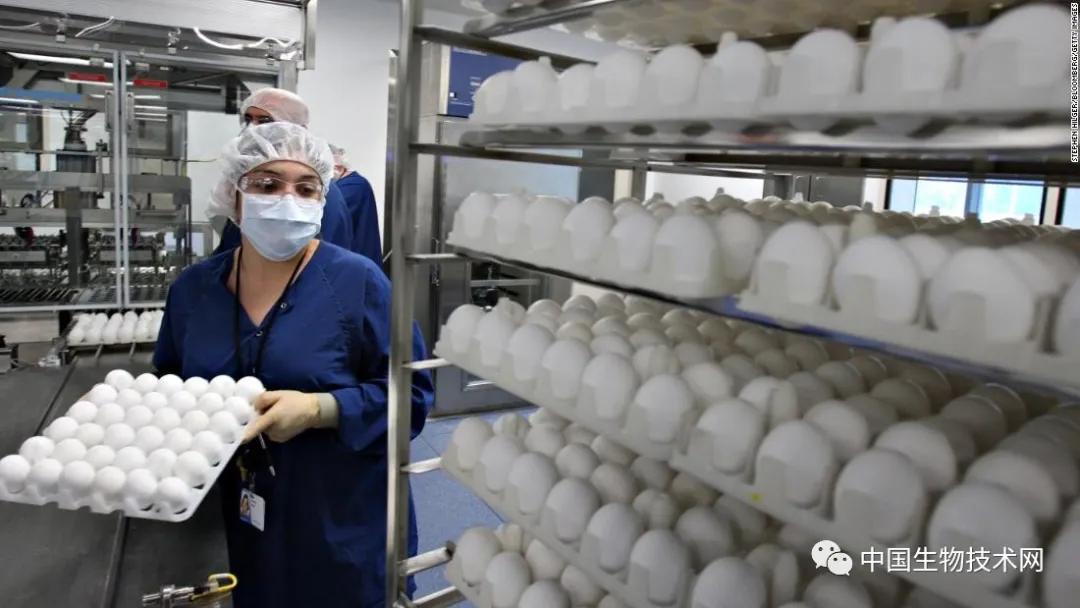 最新流感疫苗，科技助力健康新生活保護(hù)您免受流感侵襲