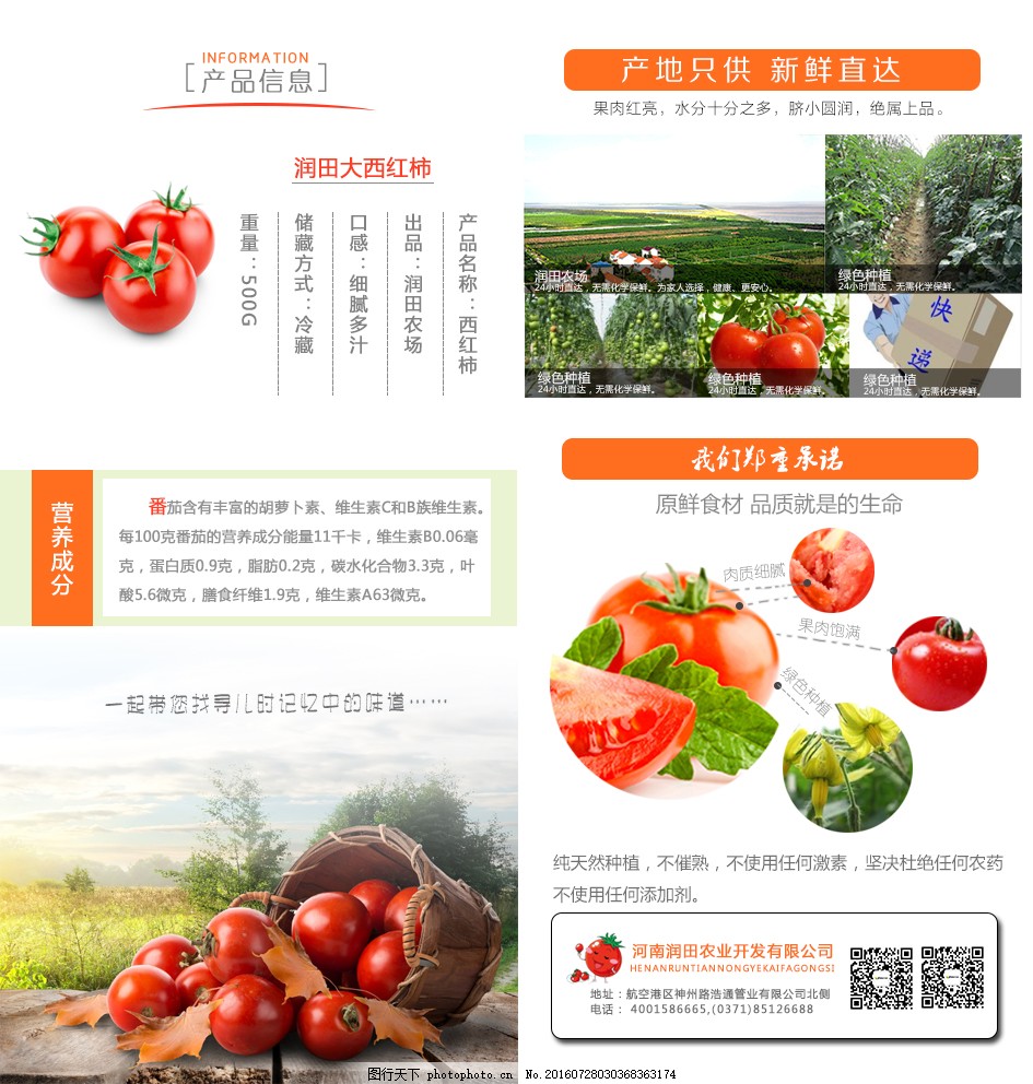 安徽西紅柿產(chǎn)地探秘，自然美景與鮮美西紅柿的邂逅之旅