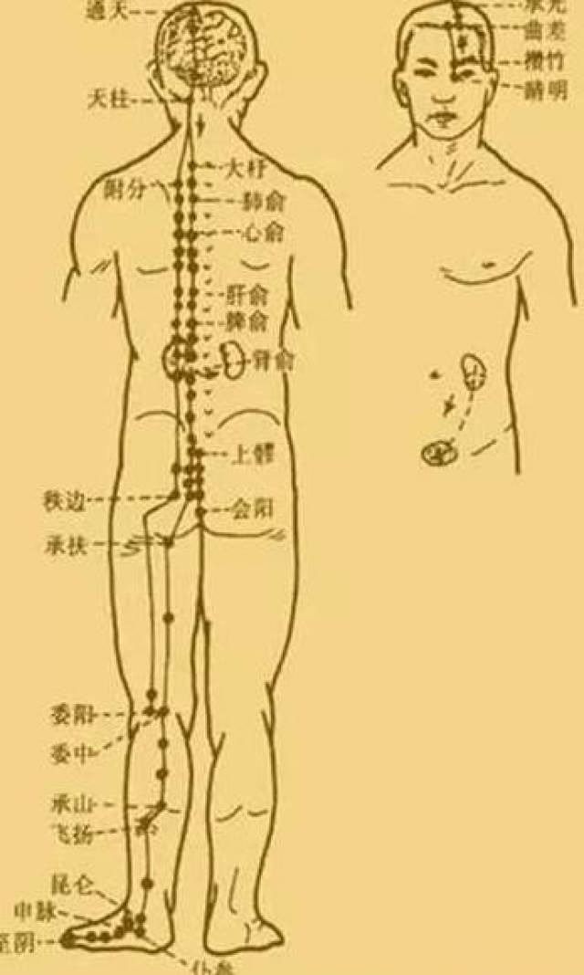 最新經(jīng)絡(luò)操，探索古老奧秘，重塑健康身姿