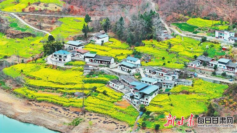 揭秘文縣，歷史背景、重大事件與時(shí)代地位全景展示