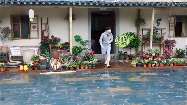 最新蘑菇屋，自然與生活完美融合的夢幻之地